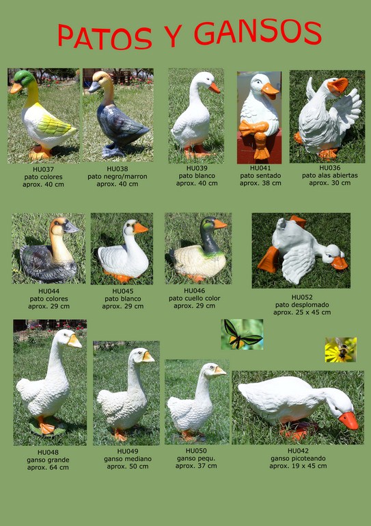 diferencias entre gansos y patos cómo